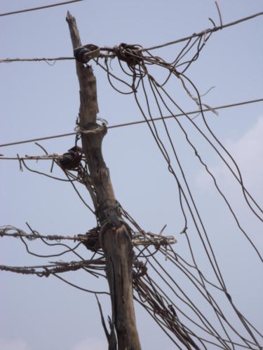 GEDSC DIGITAL CAMERA